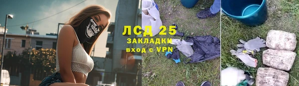 СК Каменка