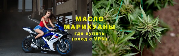 гидра Инта