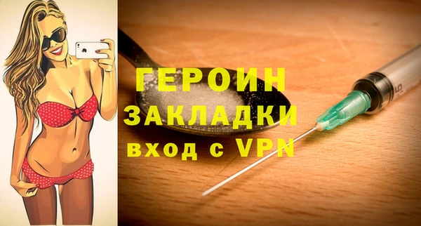 гидра Инта
