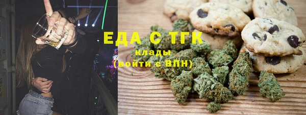 гидра Инта