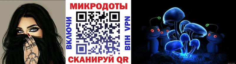 Купить где  Новотроицк  Галлюциногенные грибы мицелий 
