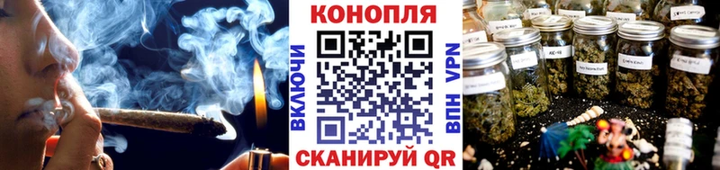 Бошки марихуана White Widow  Купить  Новотроицк 